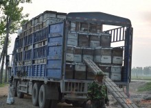 100%天然蜂蜜，爸妈养蜂400箱，绝无添加，买3斤送1斤