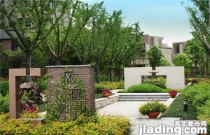 风荷丽景实景赏析