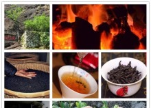 抗击寒流！你需要一杯暖暖的武夷岩茶~