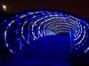 银翔湖夜景美如画