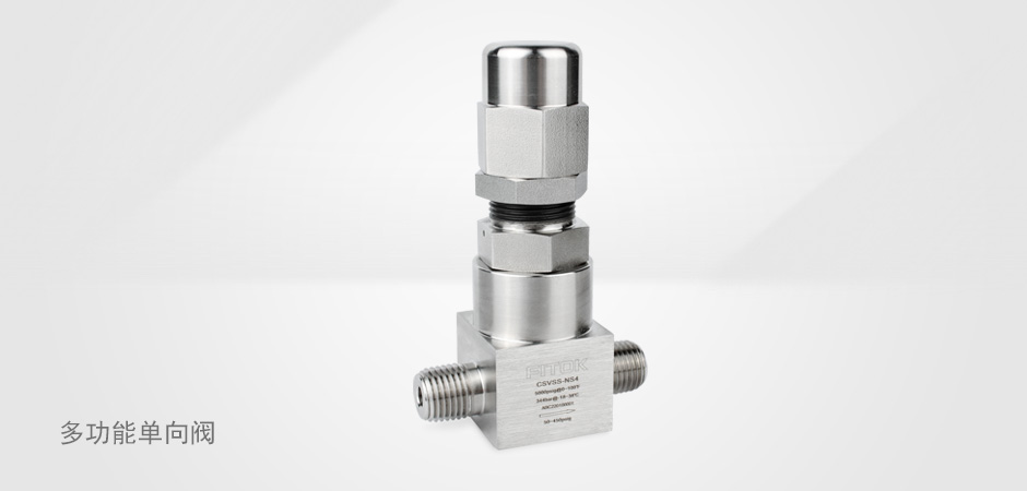 多功能单向阀