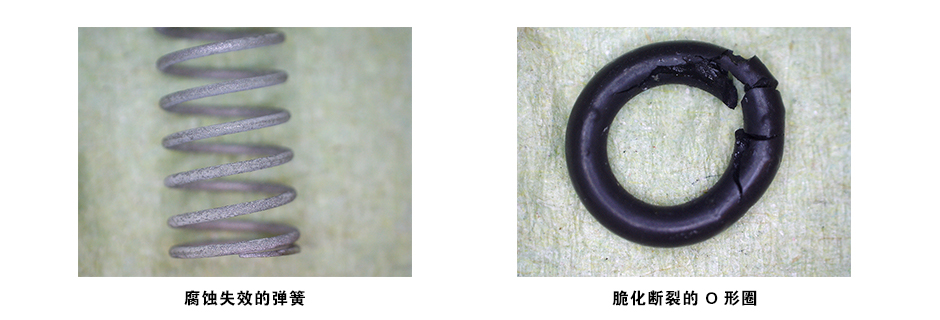 成功案例:定制化方案解决强腐蚀性介质难题