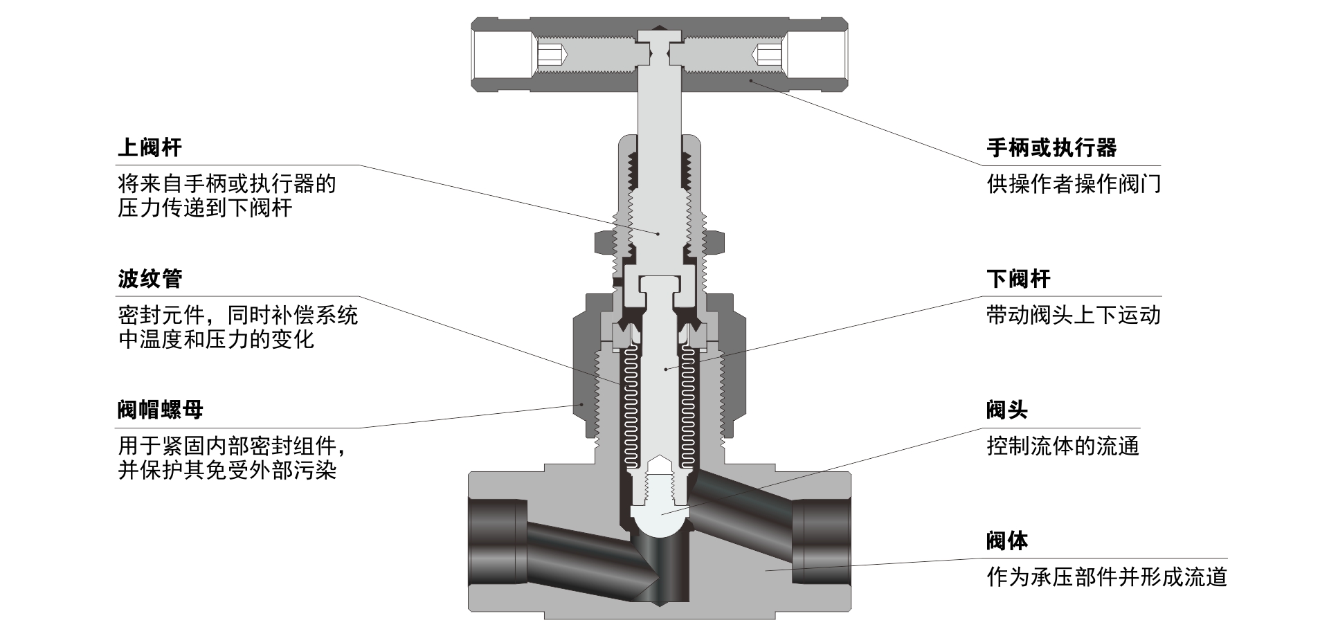 SW系列波纹管阀的典型结构